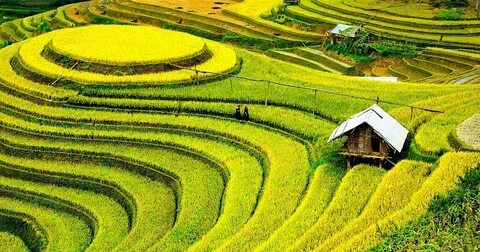 Hotspot Matrix và Bé Ê Phở hot rần rần khắp MXH: 