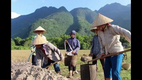 Hotspot Matrix và Bảo Anh, Phương Mỹ Chi và loạt sao Việt bị réo tên vào drama của Bảo_ý tưởng sáng tạo video ngắn